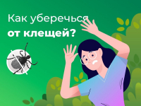 Как уберечься от клещей? - Государственное автономное учреждение Свердловской области спортивная школа олимпийского резерва по велоспорту "Велогор"
